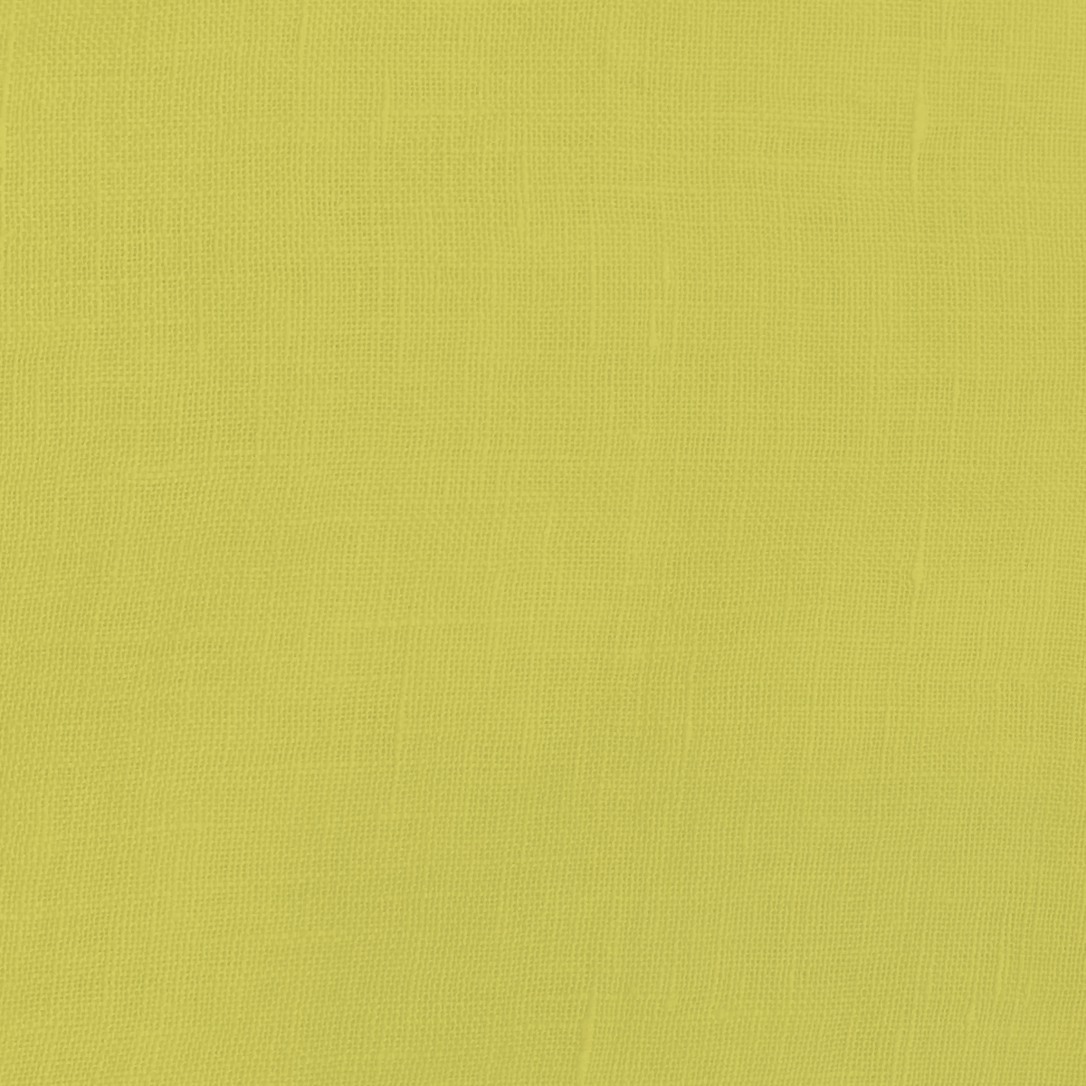 C16AD30055 81 kiwi